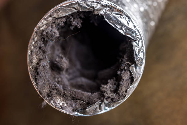 Best Professional Duct Cleaning Services  in Orangeville, UT