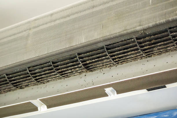 Best Professional Duct Cleaning Services  in Orangeville, UT